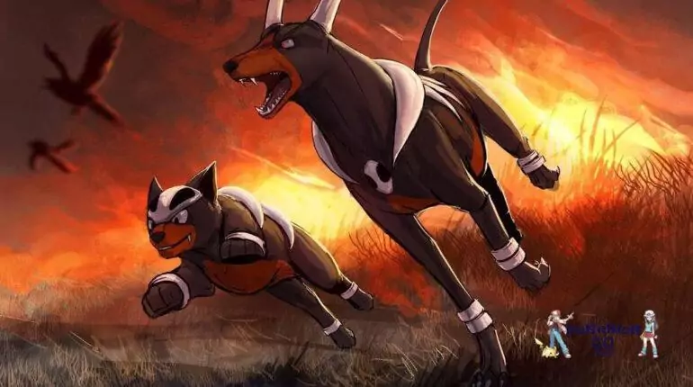 Houndour & Houndoom Spotlight Hour 2026: Shiny Odds Houndour & Houndoom Spotlight