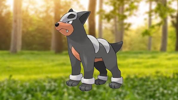 Houndour & Houndoom Spotlight Hour 2026: Shiny Odds Houndour Spotlight